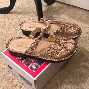 Alegria Shoes - Alegria slides snake skin print Alegria Shoes - Alegria slides snake skin print